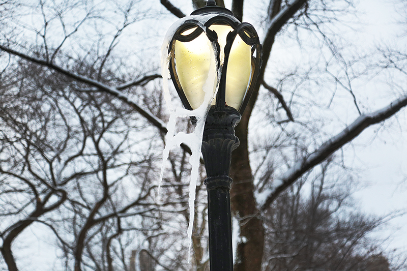 Snowstorm : 2021 : New York : Personal Photo Projects :  Richard Moore Photography : Photographer : 